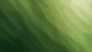 Landmark Ruling by Federal Court of Australia on Crypto Margin Extensions