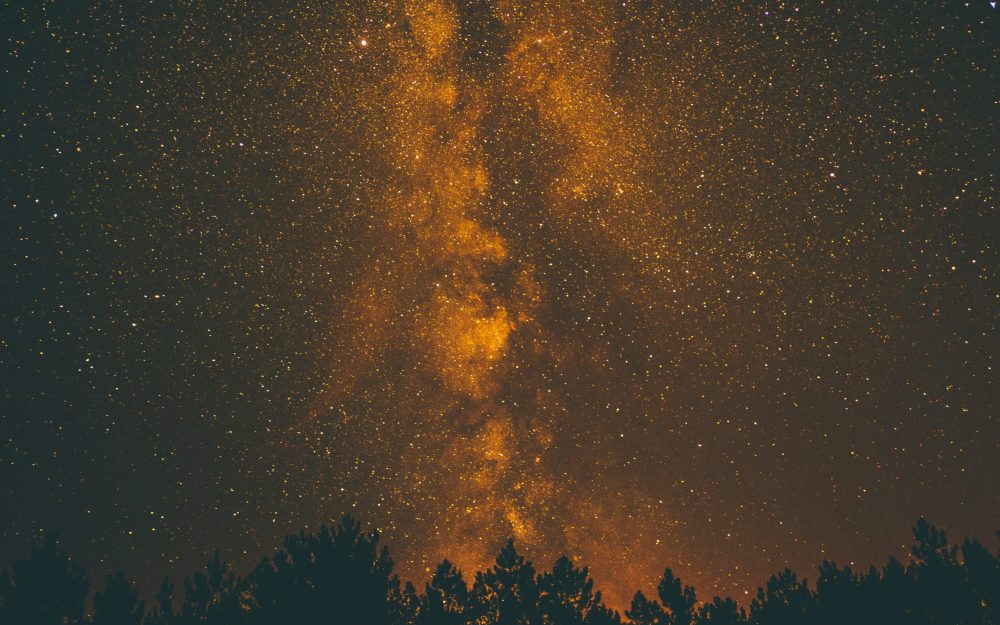 aperture-vintage-T-uuZBzB09M-unsplash Legal Risk