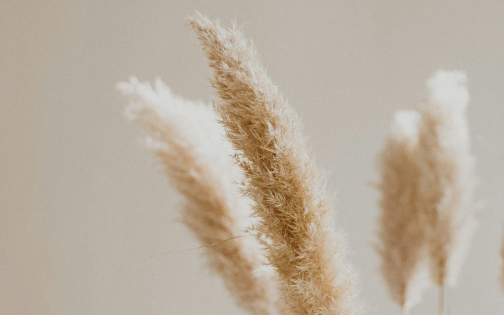 patrick-langwallner-3pR7d-tIRx8-unsplash Expert Witness